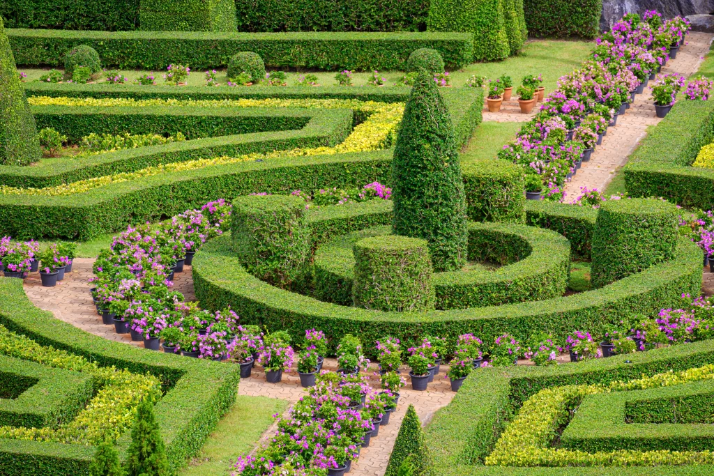 topiary-trees